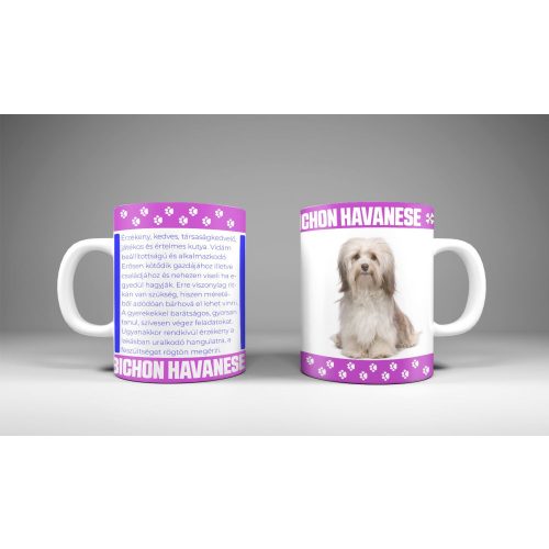 Bichon havanese - állatos bögre