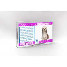 Bichon havanese - állatos mágnes