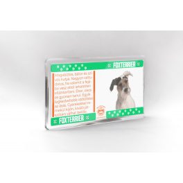 Foxterrier - állatos mágnes