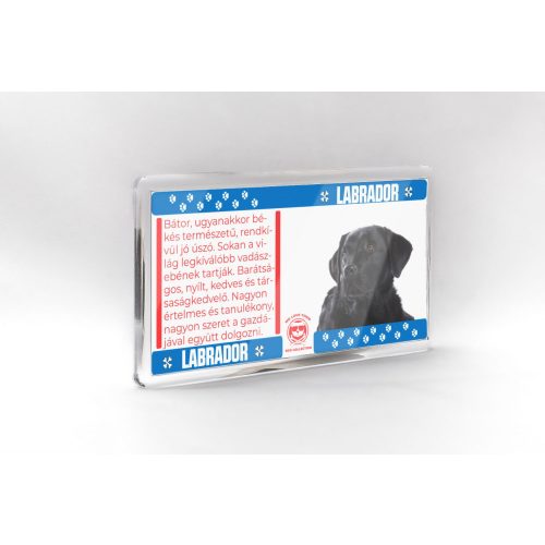 Labrador - állatos mágnes