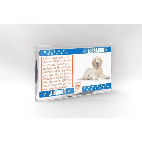Labrador - állatos mágnes